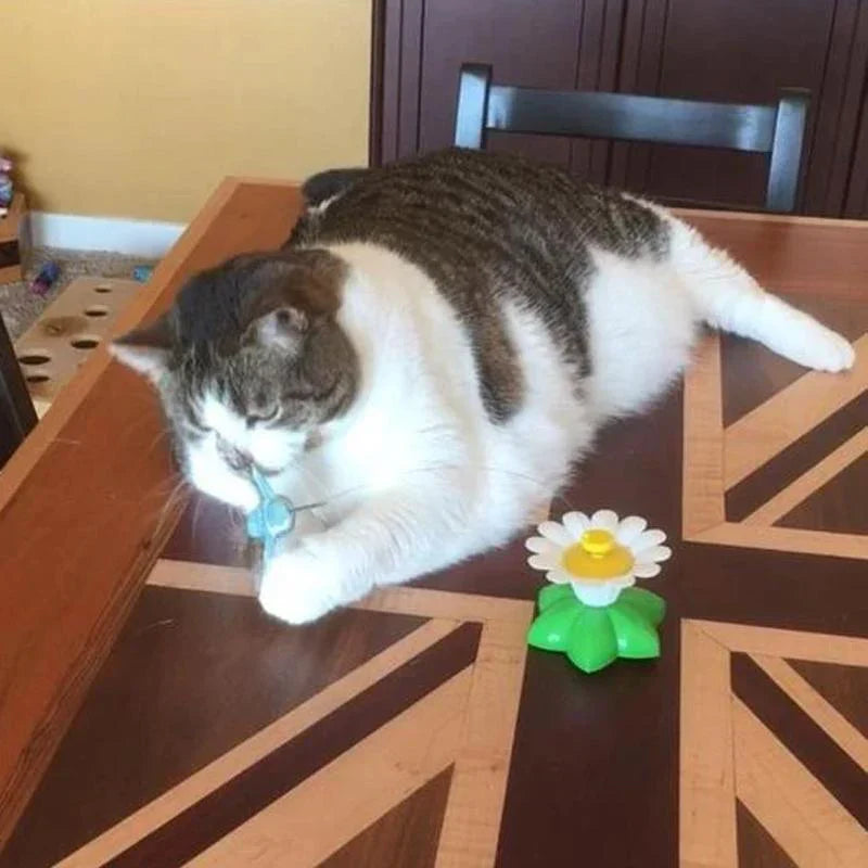 Catfri® CatChase: Interactieve Draaiend Zoemend Kat Speelgoed