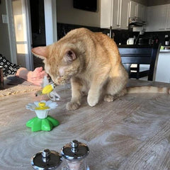 Catfri® CatChase: Interactieve Draaiend Zoemend Kat Speelgoed