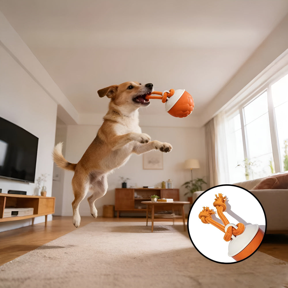 DogFri™ SmartBall: Interactieve Obstakel-Vermijdende Oplaadbare Trainings- Slimme Bal
