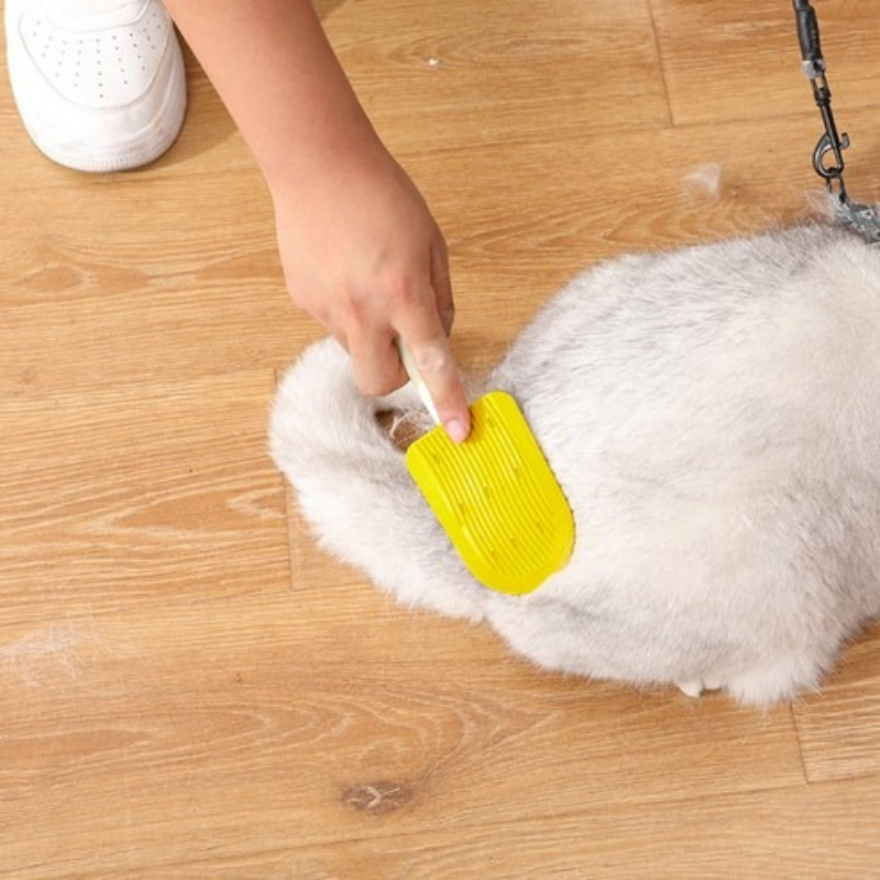 DogCatFri™ DesheddingComb 1+1 GRATIS: Eenvoudige Verzorging Van Vacht Met Ontviltkam