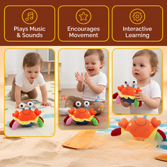 Kletshuts™ CrabToy - Interactieve Muzikale Leerkrab Pluche Speelgoed