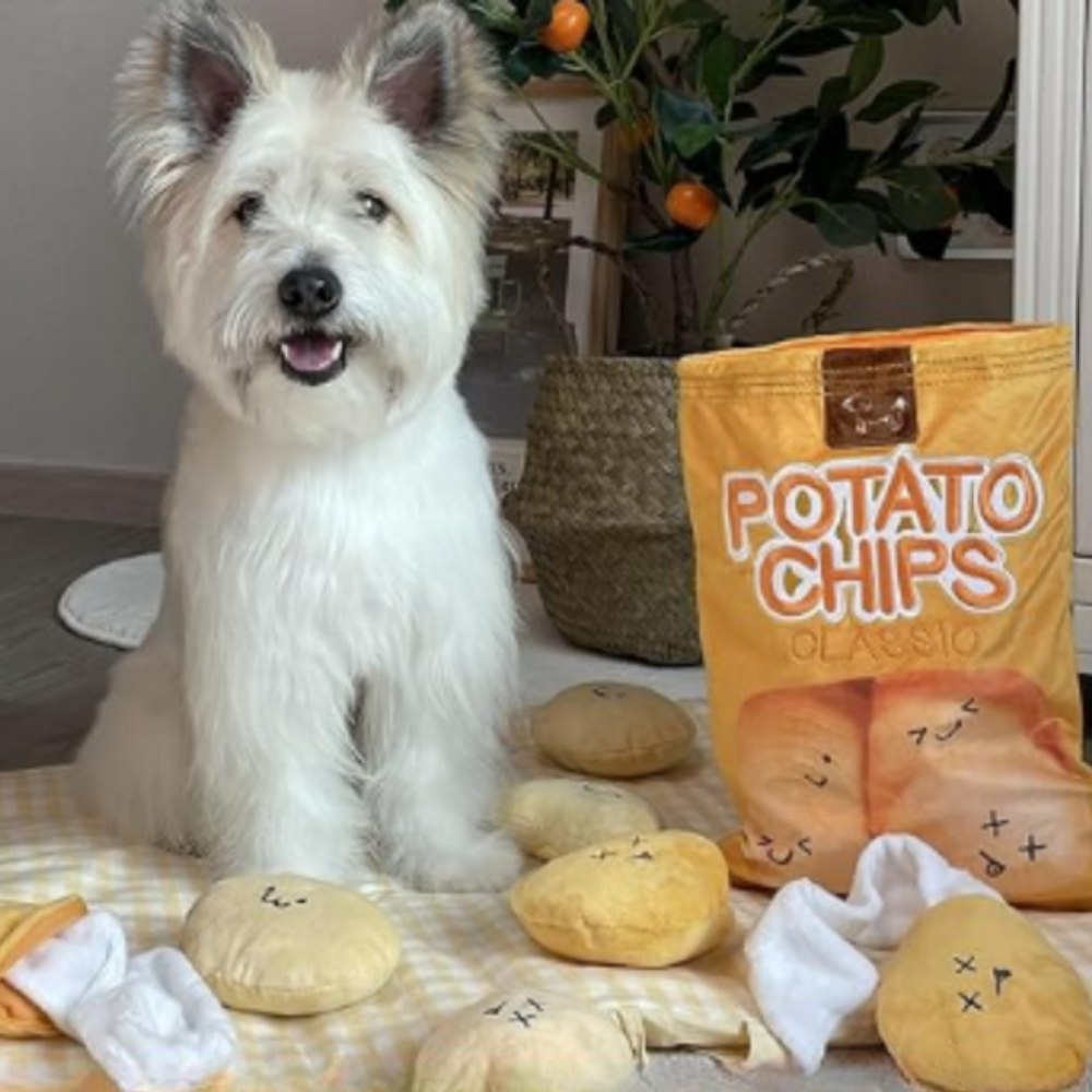 DogFri™ SniffingBag: Interactief Geur Training En Traktatie Verbergen Snuffelen Tas