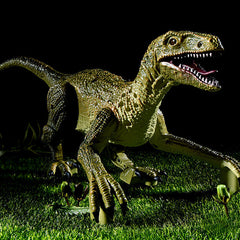Kletshuts™ DinoToy – Levensechte Op Afstand Bestuurde Dinosaurus Speelgoed