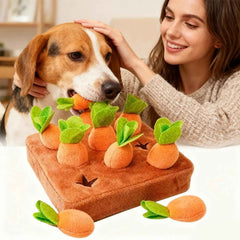 DogFri™ SniffingBoard: Premie Interactief Wortel Puzzel Snuffelen Bord