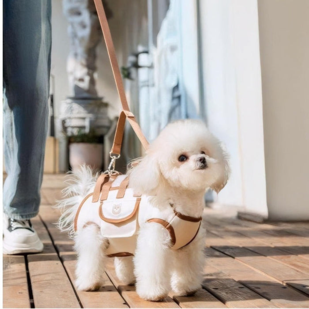 DogCatFri™ PetSling: Geventileerd Crossbody Reis Klaar Huisdier Sling