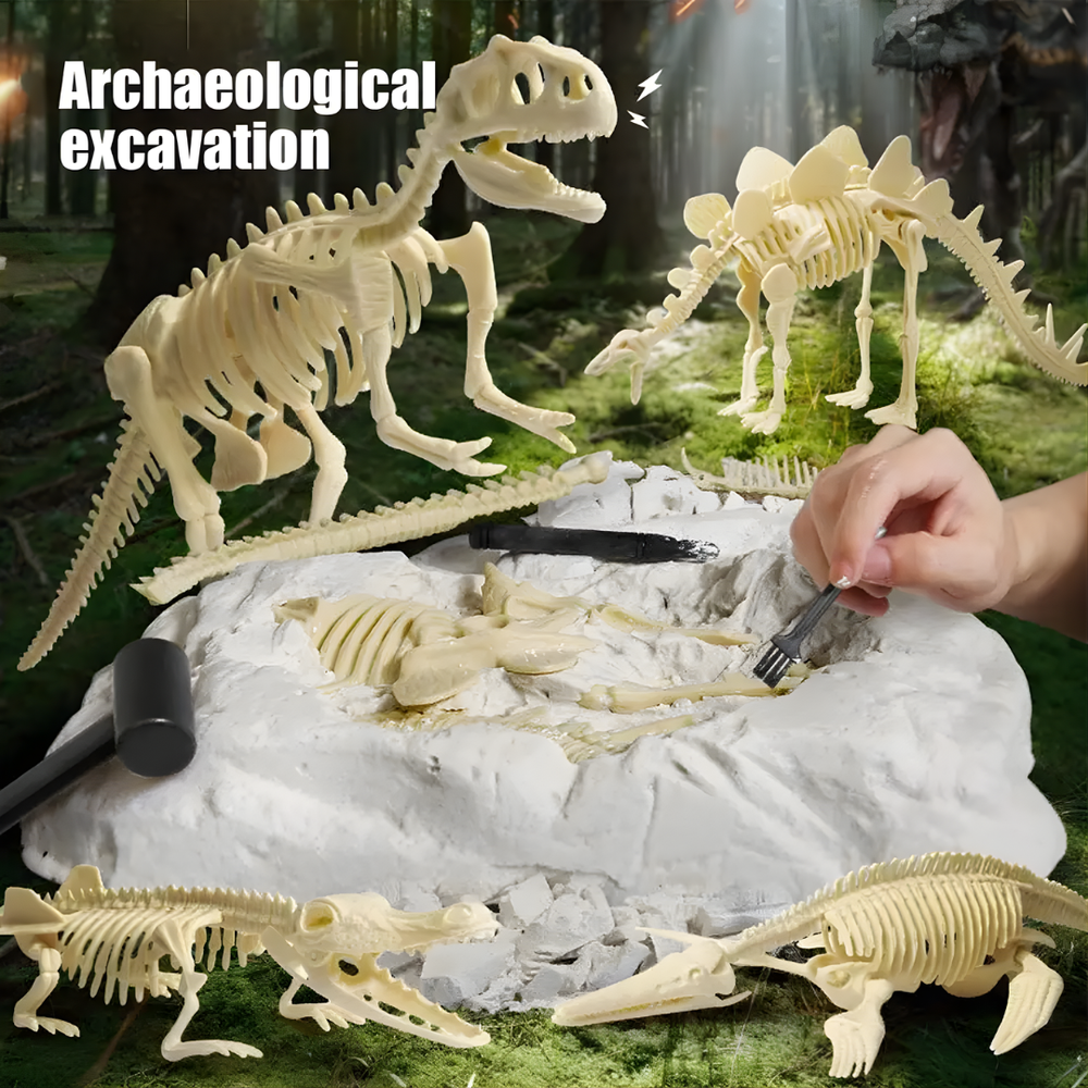 Kletshuts™ SkeletonDinosaur: Educatief Skelet Dinosaurus Fossiel Graaf Pakket