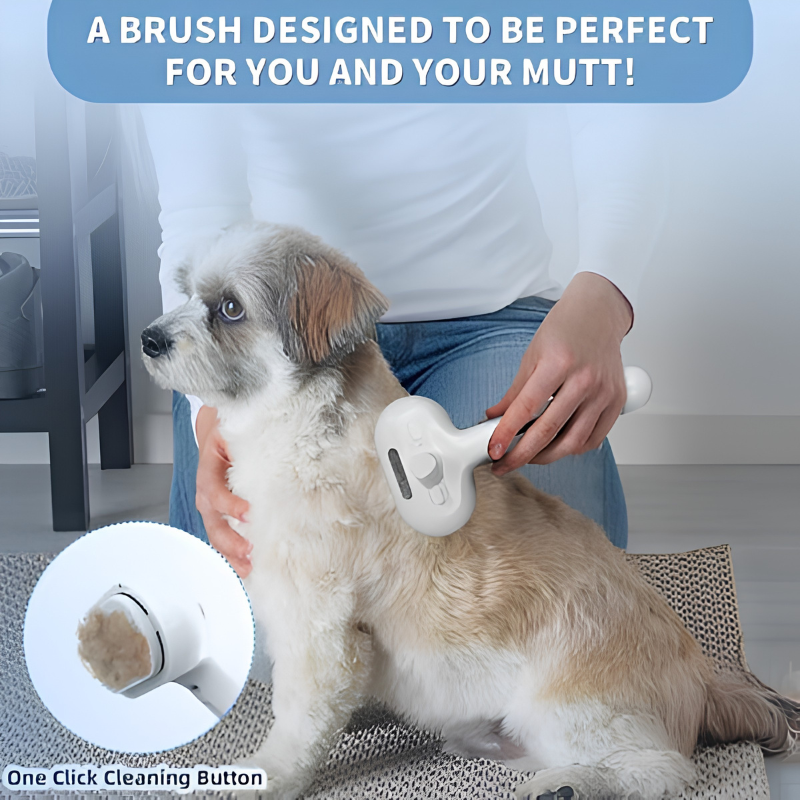 DogCatFri™ PetSteamer: 2-In-1 Spuit Verzorgingsborstel Stoomboot Huisdieren