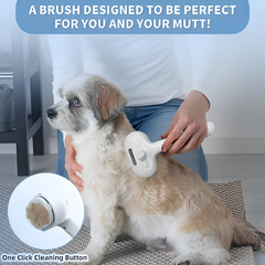 DogCatFri™ PetSteamer: 2-In-1 Spuit Verzorgingsborstel Stoomboot Huisdieren