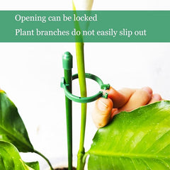 PlantSupport - Plant Groei Ondersteuning Invoegen Steun