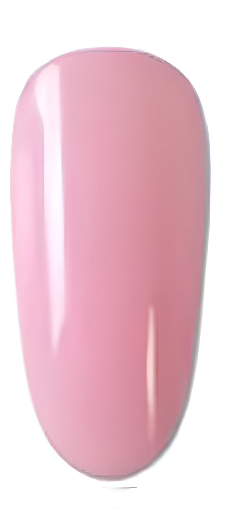 NailPen 1+1 GRATIS - Professionele Langdurige Professionele Gel Manicure Pen