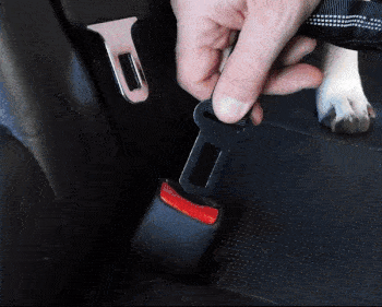DogFri™ PawGuard 1+1 GRATIS: Hond Auto Stoel Gordel