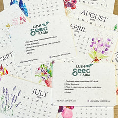 PaperSeeds: Milieuvriendelijk Liefde 2026 Papier Zaad Kalender