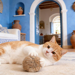 Catfri® PlushBall - Kattenkruid Pluche Konijnenbal Kat Speelgoed
