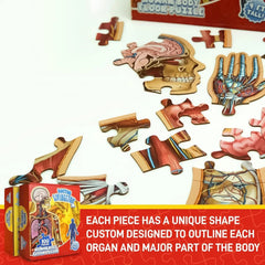 Kletshuts™ BodyPuzzle: Educatieve Menselijke Lichaams Anatomie Puzzel Set