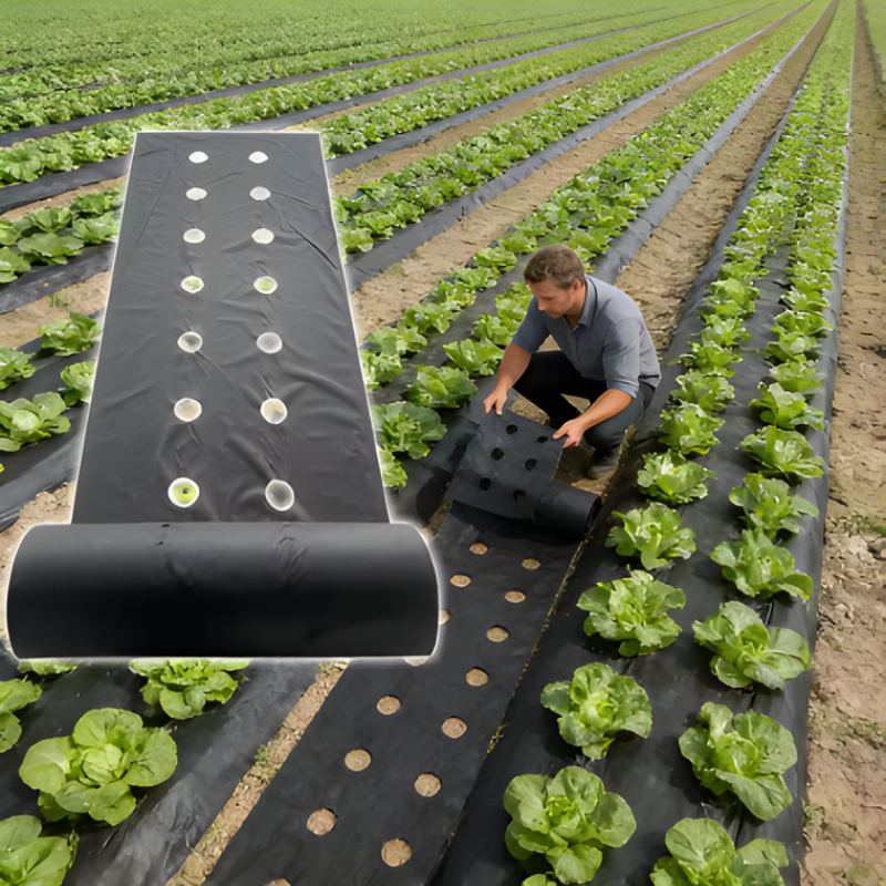 LandscapeCover: Agrarische Landschap Onkruidbestrijding Bodembedekking