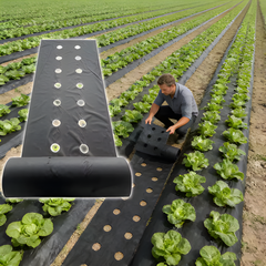 LandscapeCover: Agrarische Landschap Onkruidbestrijding Bodembedekking