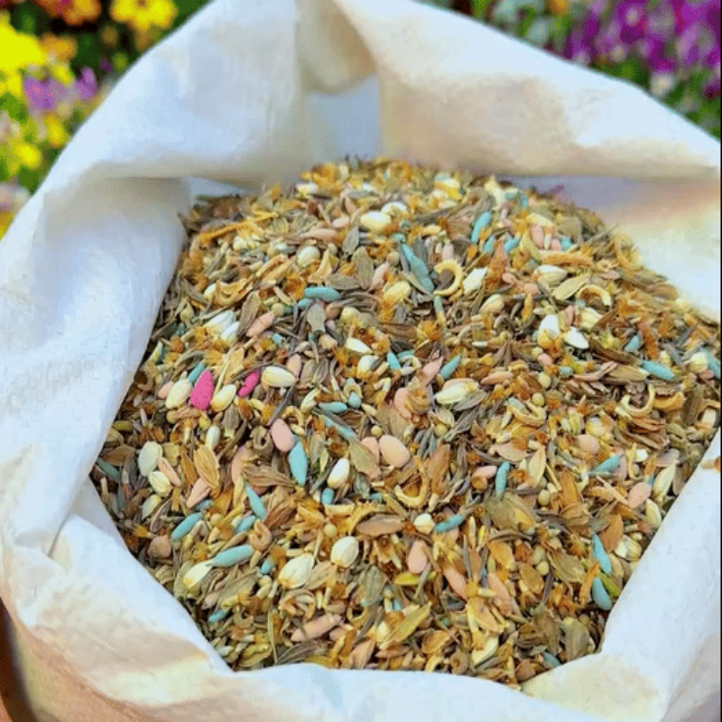 GardenSeeds - Gemakkelijk Te Groeien Gemengde Bloemen Tuin Variëteit Kleurige Bloemen Zaden