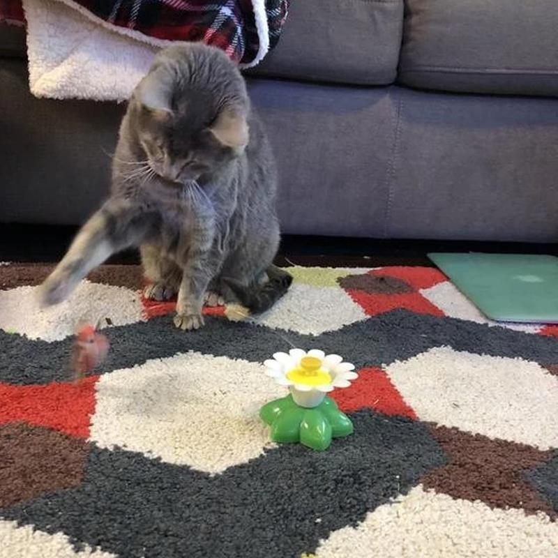 Catfri® CatChase: Interactieve Draaiend Zoemend Kat Speelgoed