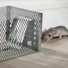 Globetrek° MouseTrap: Herbruikbare Niet-Toxische Veilige En Humane Muizenvanger