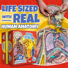 Kletshuts™ BodyPuzzle: Educatieve Menselijke Lichaams Anatomie Puzzel Set