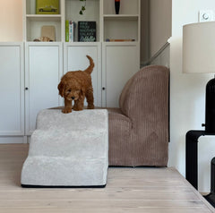 DogCatFri™ CouchStairs: Dierenvriendelijke Comfortabele Bank Trappen