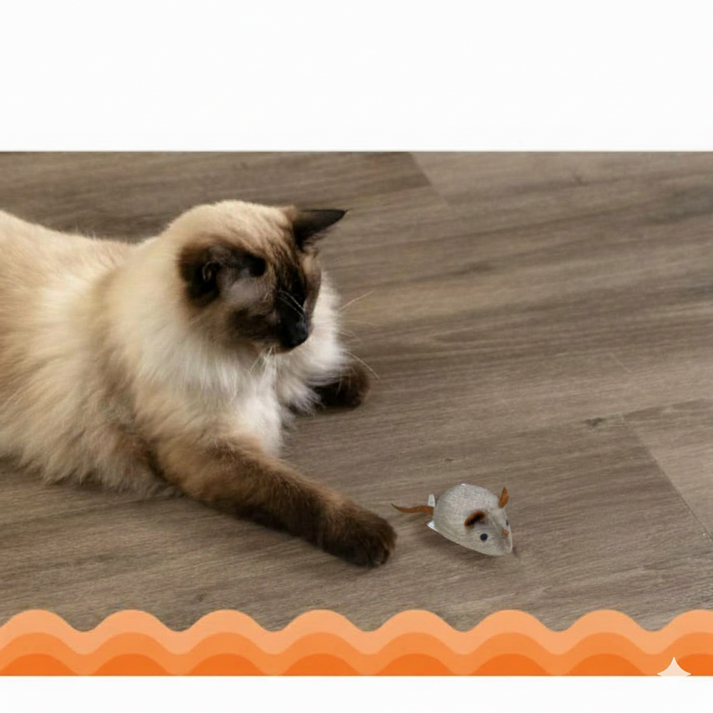 Catfri® SqueakyMouse 1+1 GRATIS: Realistisch Interactief Pluche Kattenspeeltje Piepende Muis