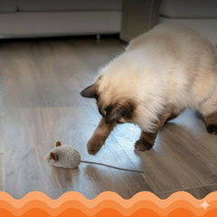 Catfri® SqueakyMouse 1+1 GRATIS: Realistisch Interactief Pluche Kattenspeeltje Piepende Muis