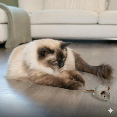 Catfri® SqueakyMouse 1+1 GRATIS: Realistisch Interactief Pluche Kattenspeeltje Piepende Muis