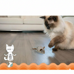 Catfri® SqueakyMouse 1+1 GRATIS: Realistisch Interactief Pluche Kattenspeeltje Piepende Muis
