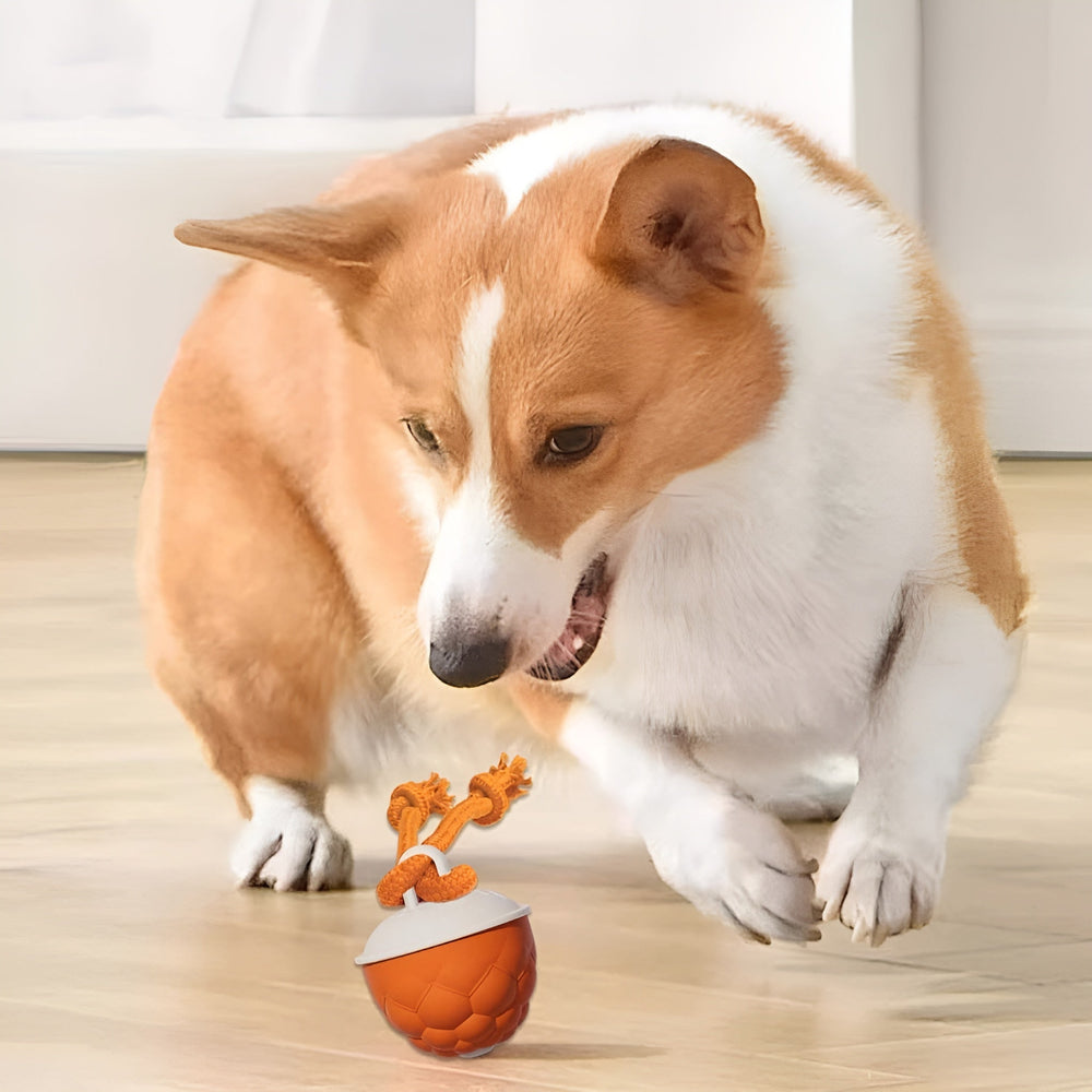 DogFri™ SmartBall: Interactieve Obstakel-Vermijdende Oplaadbare Trainings- Slimme Bal
