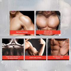 MuscleBoard: Professionele Kleur-Gecodeerde Opvouwbare Opdruk-Gerichte Training Spier Bord