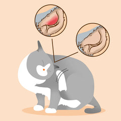 DogCatFri™ EarDrops - Verzachtende Huisdieren Oorreliëf Natuurlijke Druppels