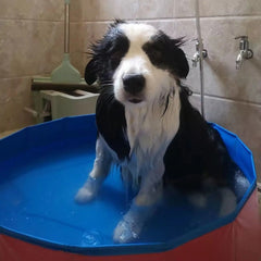 DogFri™ PawPool: Hond Bad En Plons Plezier Opvouwbaar Huisdier Zwemmen Zwembad
