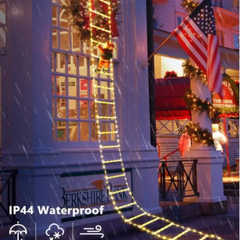 Ledsen™ ChristmasLadder: Durable Buiten LED Kerstmis Ladder Licht Weergave