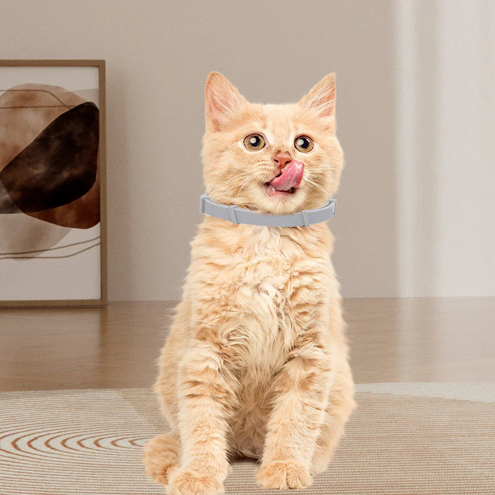 DogCatFri™ PetCollar 1+1 GRATIS - Verstelbare Insectenwerende Dierenhalsband