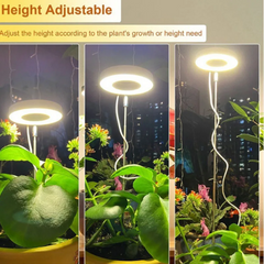 Ledsen™ PlantLamp: Verstelbaar Binnen LED Groeilamp Plant Lamp