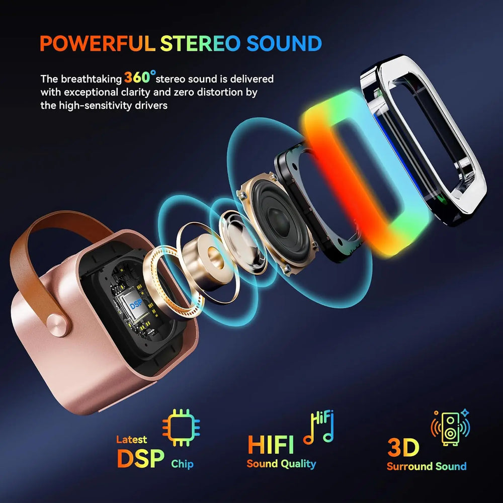 KaraokePro – Mini Karaokeapparaat Met Draadloze Microfoons