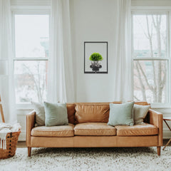 GlideHold® PlantFrame: Eenvoudige Installatie Decoratief Modern Plantenframe Wand
