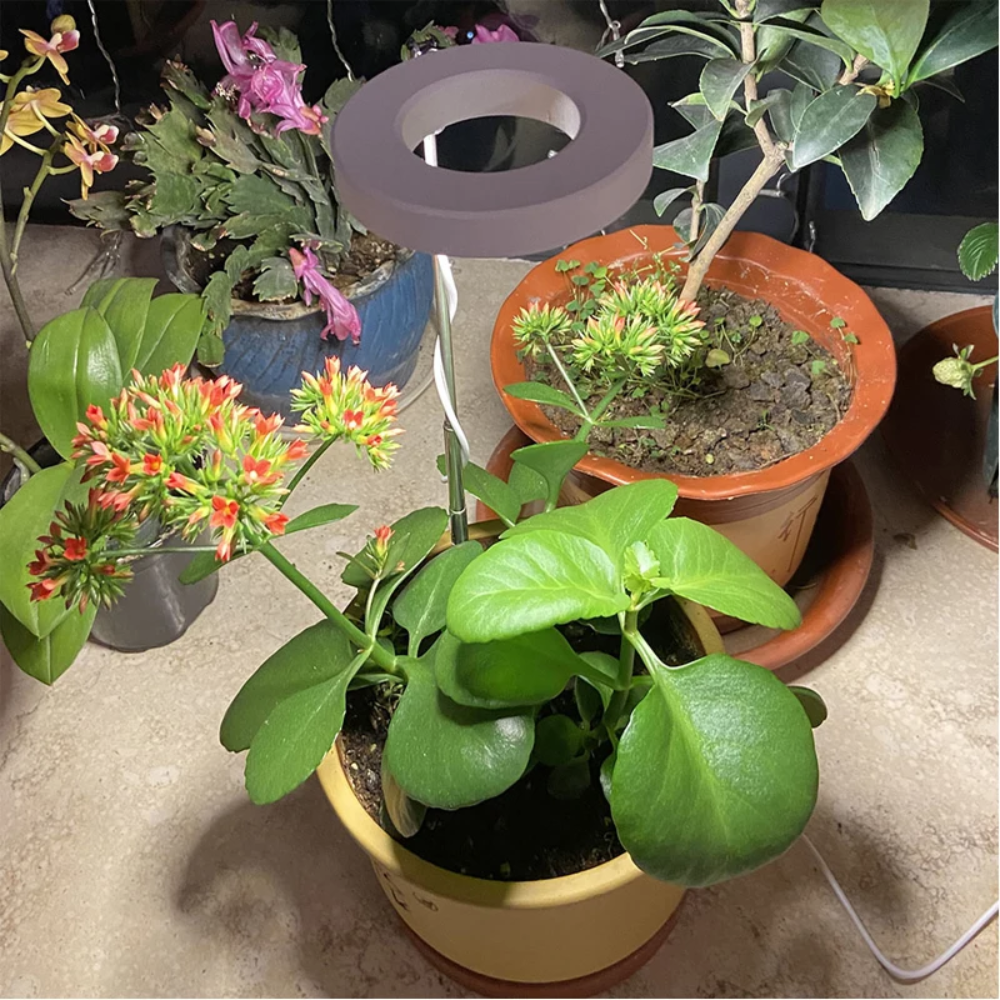 Ledsen™ PlantLamp: Verstelbaar Binnen LED Groeilamp Plant Lamp