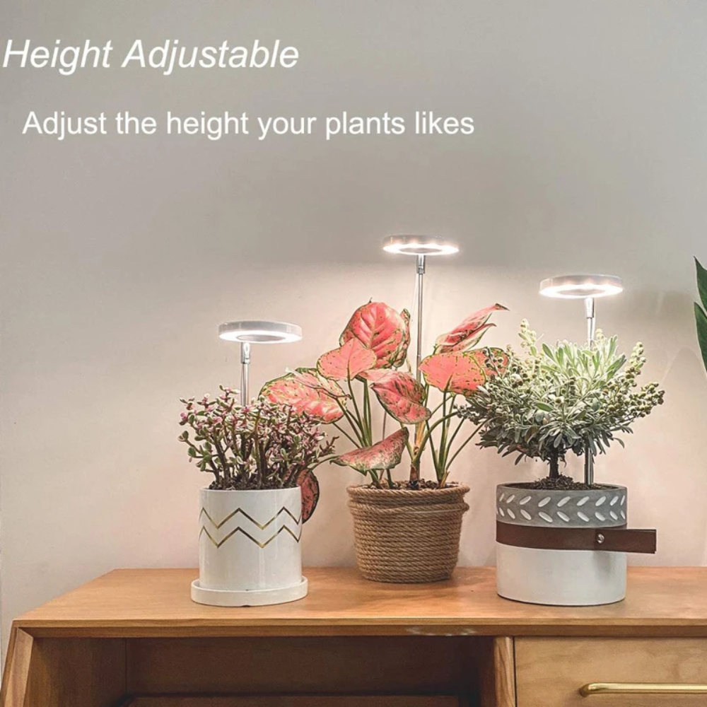 Ledsen™ PlantLamp: Verstelbaar Binnen LED Groeilamp Plant Lamp