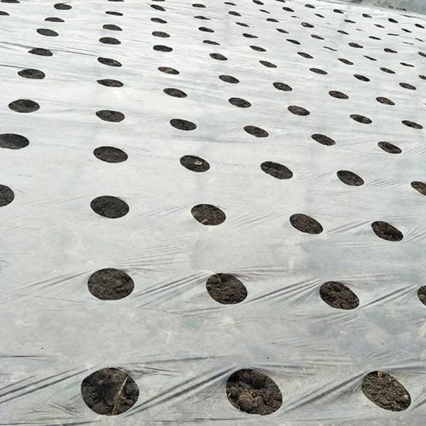 LandscapeCover: Agrarische Landschap Onkruidbestrijding Bodembedekking
