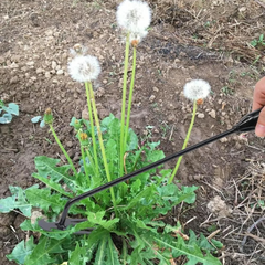 WeedRemover 1+1 GRATIS: Ergonomisch Onkruid Verwijderen Tuin Gereedschap