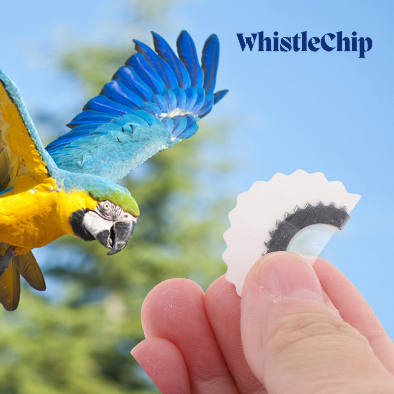 BirdWhistle 1+1 GRATIS – Mini Magische Vogeloproep Fluitje Chip