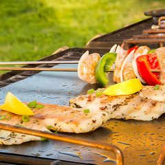 Globetrek° GrillMat – Anti-Aanbak BBQ Grillmatten Met Gemakkelijk Snijden Doos