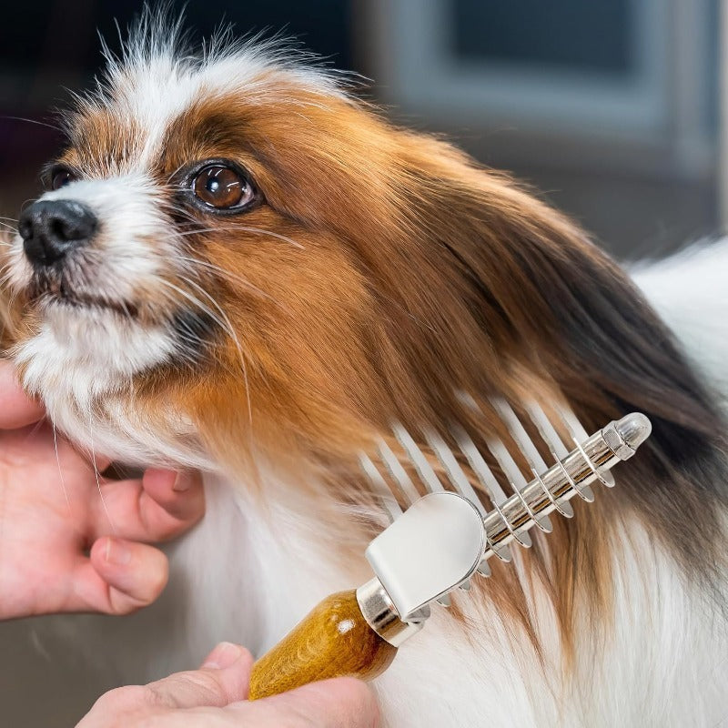 DogCatFri™ DemattingComb 1+1 GRATIS: Huisdier Gekarteld Ontmatten Hark Kam