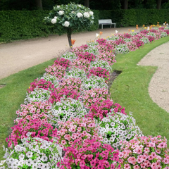 Globetrek° ArtificialFlowers 1+1 GRATIS: Buiten en Binnen Kunstbloemen Planten