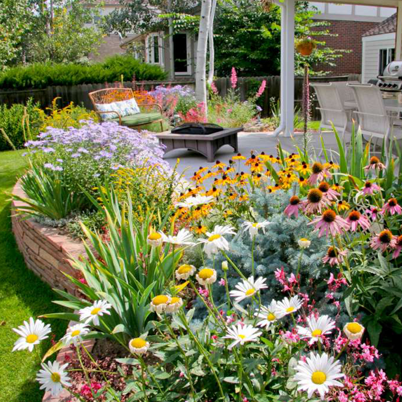 GardenSeeds - Gemakkelijk Te Groeien Gemengde Bloemen Tuin Variëteit Kleurige Bloemen Zaden