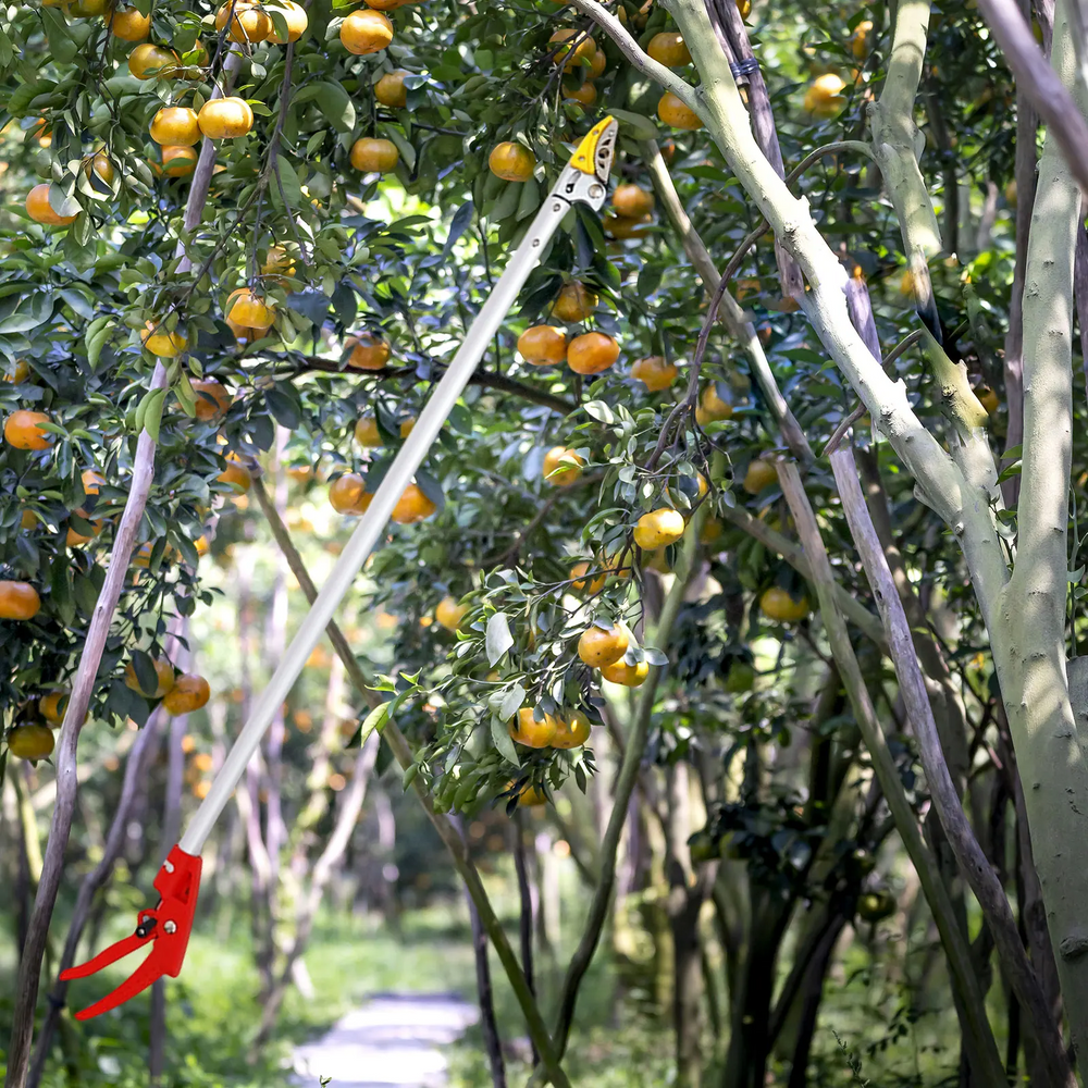 Globetrek° FruitPicker: Lichtgewicht Duurzaam Handvat Eenvoudig Te Gebruiken Fruitplukgereedschap