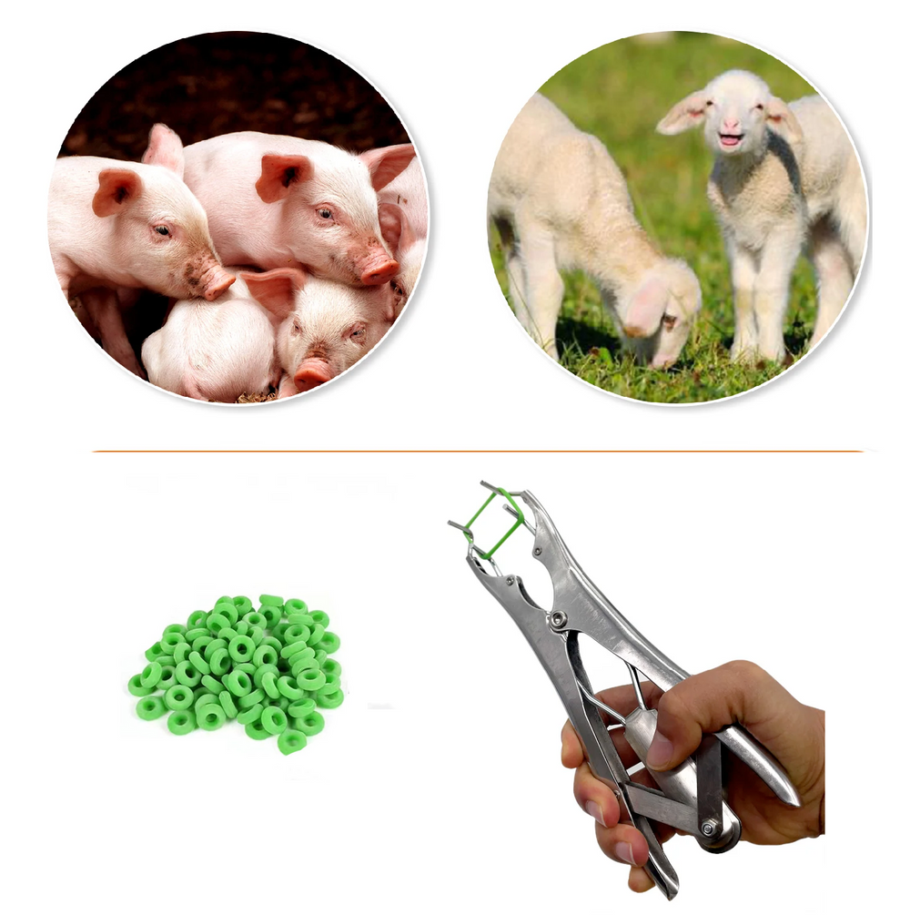 ElastratorTool - Veilige, Efficiënte, Eenvoudig Te Gebruiken, Betrouwbare Elastrator Tool Voor Vee