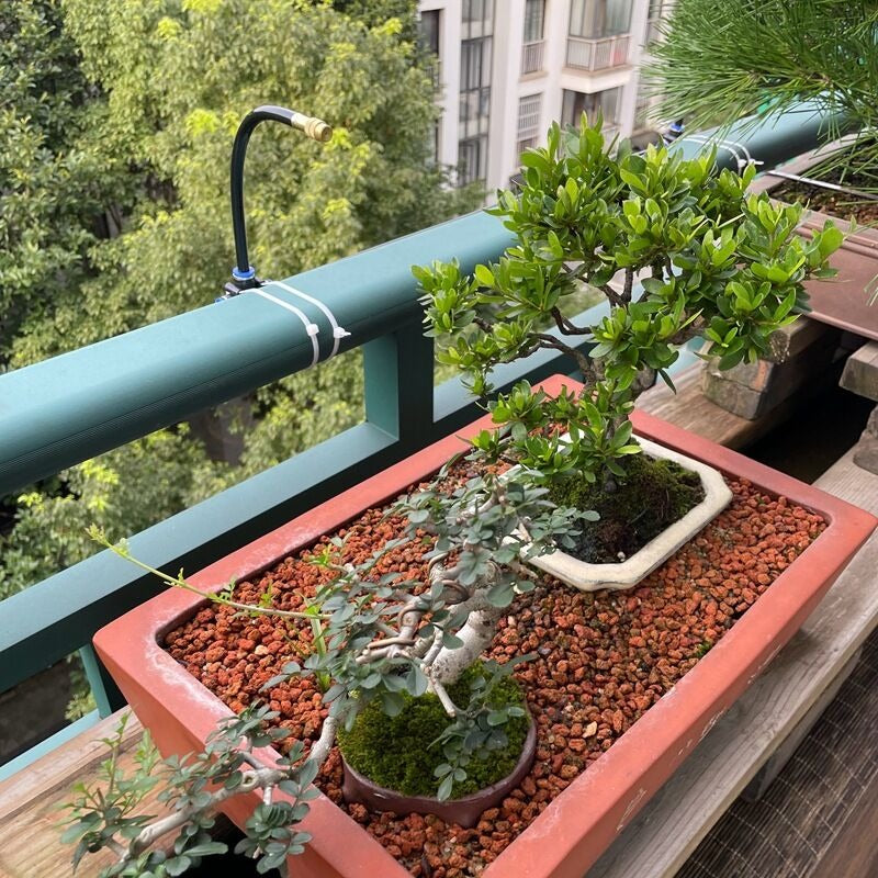 IrrigationSet: Eenvoudig Te Installeren Water Irrigatieset Voor Tuin